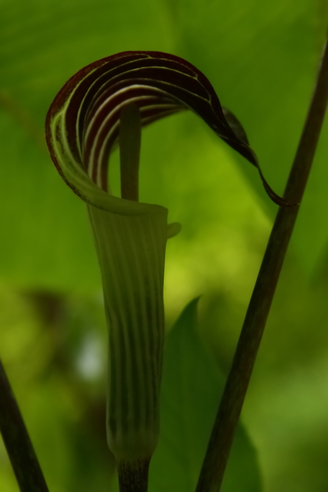 2012 05 08 2191